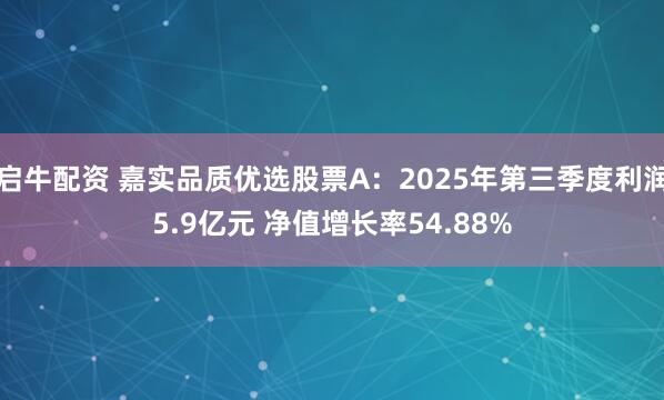 启牛配资 嘉实品质优选股票A：2025年第三季度利润5.9亿元 净值增长率54.88%