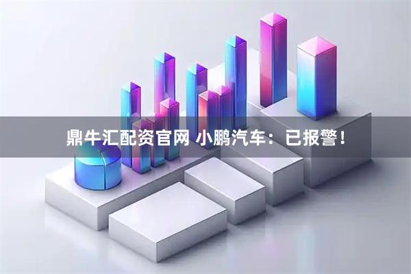 鼎牛汇配资官网 小鹏汽车：已报警！
