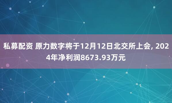 私募配资 原力数字将于12月12日北交所上会, 2024年净利润8673.93万元