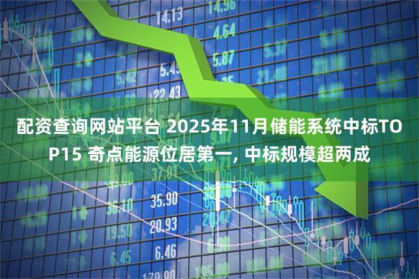 配资查询网站平台 2025年11月储能系统中标TOP15 奇点能源位居第一, 中标规模超两成