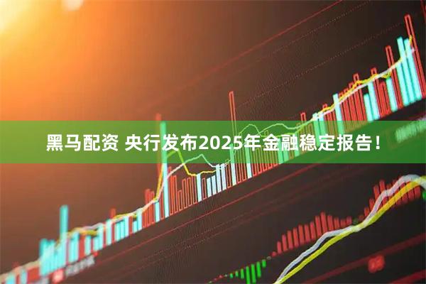 黑马配资 央行发布2025年金融稳定报告!