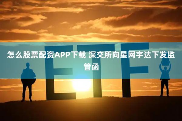 怎么股票配资APP下载 深交所向星网宇达下发监管函