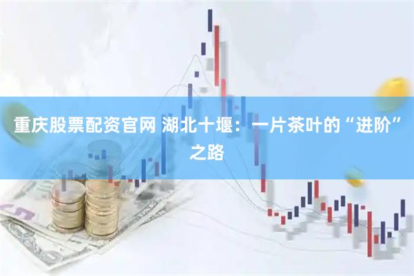 重庆股票配资官网 湖北十堰：一片茶叶的“进阶”之路
